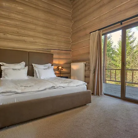 Guest house Forest Hill Shale Yablunytsya