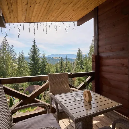 Forest Hill Shale 3*