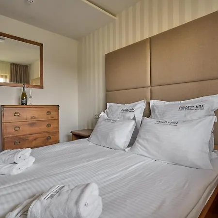 Gasthuis Forest Hill Shale Yablunytsia